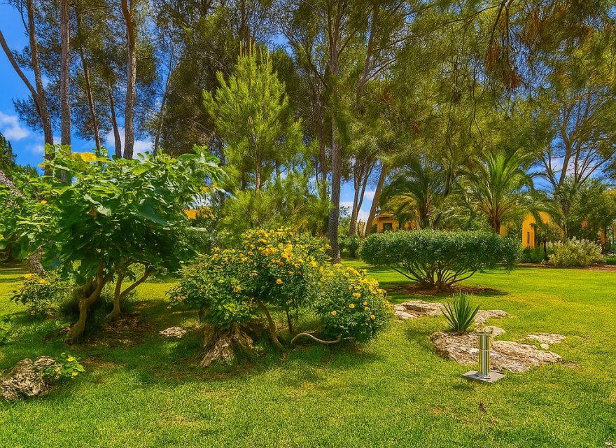 Перепродажа - Квартира - Santa Ponsa