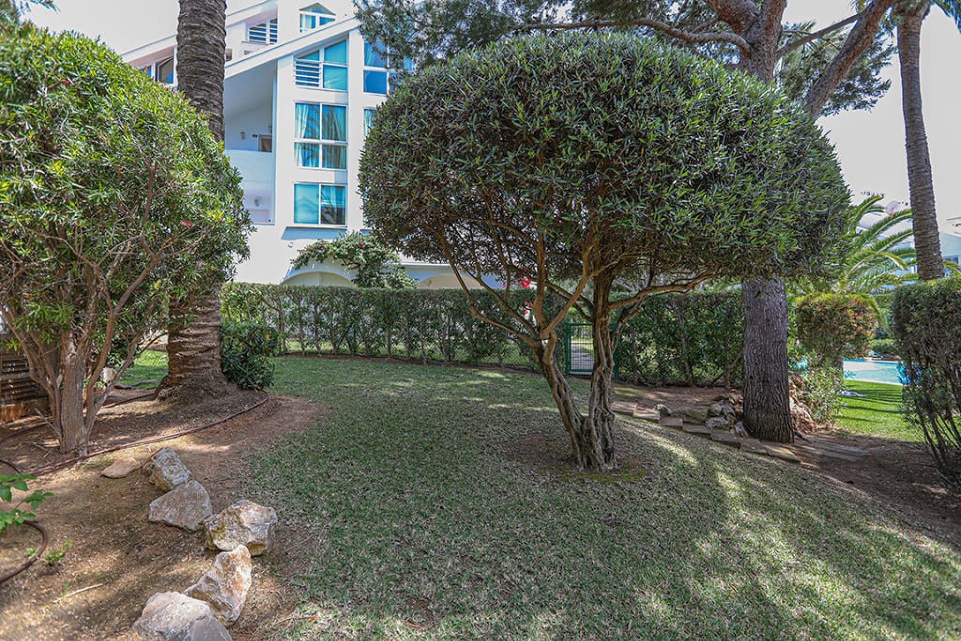 Перепродажа - Квартира - Santa Ponsa