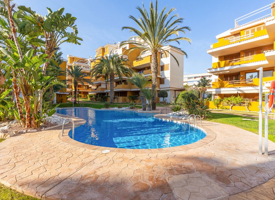 Перепродажа - Квартира - Torrevieja - Punta Prima