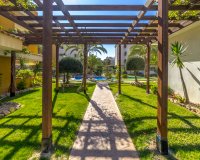 Перепродажа - Квартира - Torrevieja - Punta Prima