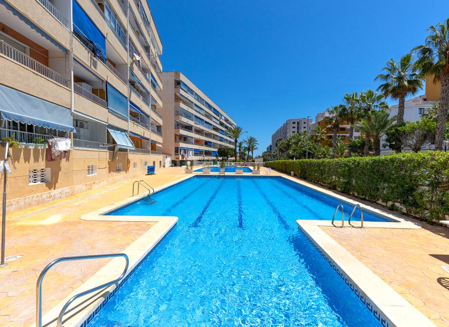 Перепродажа - Квартира - Torrevieja - Rocio del Mar