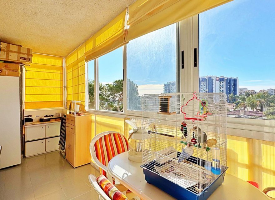 Перепродажа - Квартира - Torrevieja - Rocio del Mar