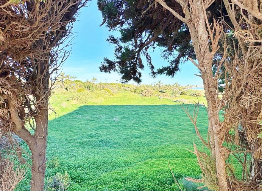 Перепродажа - Квартира - Torrevieja - Rocio del Mar