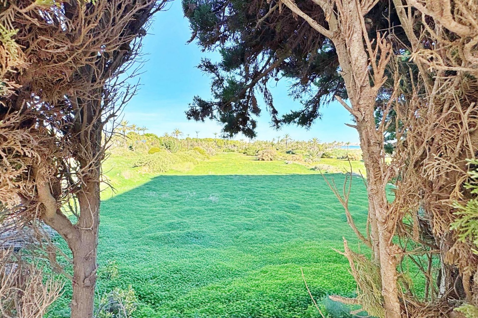 Перепродажа - Квартира - Torrevieja - Rocio del Mar