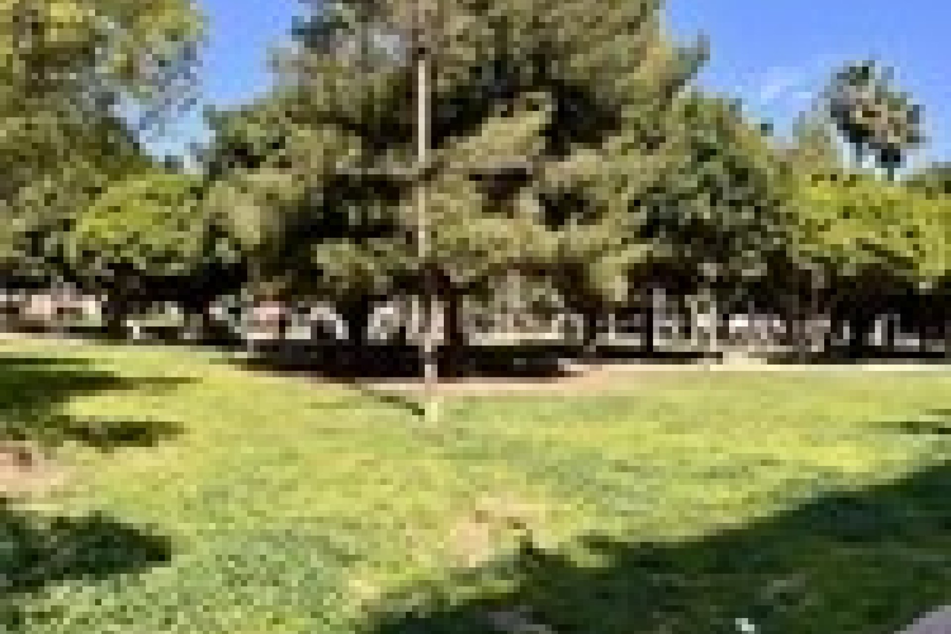 Перепродажа - Квартира - Torrevieja