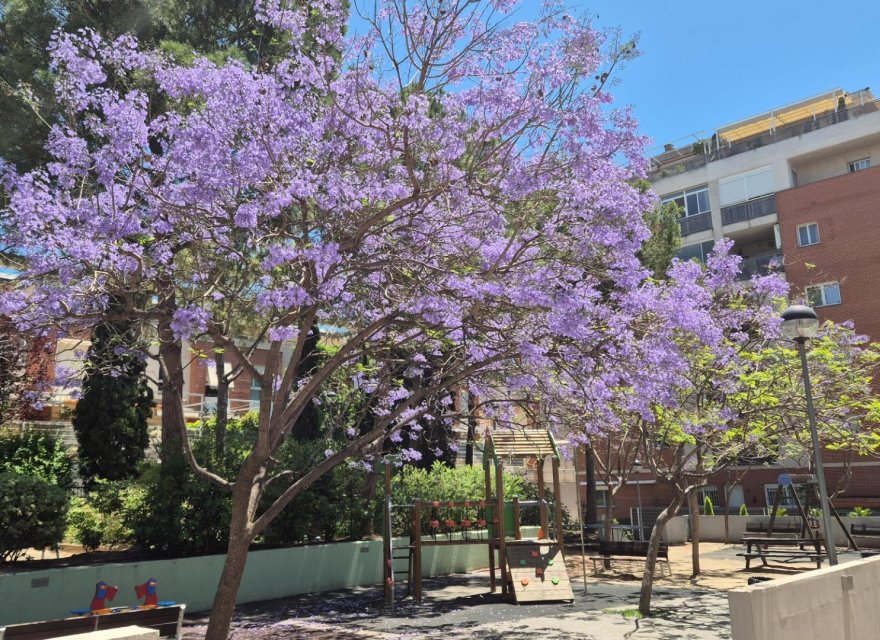 Перепродажа - Квартира - Valencia - Патерна