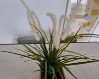 Перепродажа - Квартира - Valencia - Patraix