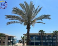 Перепродажа - Квартира - Valencia - Пляж Ла-Патакона