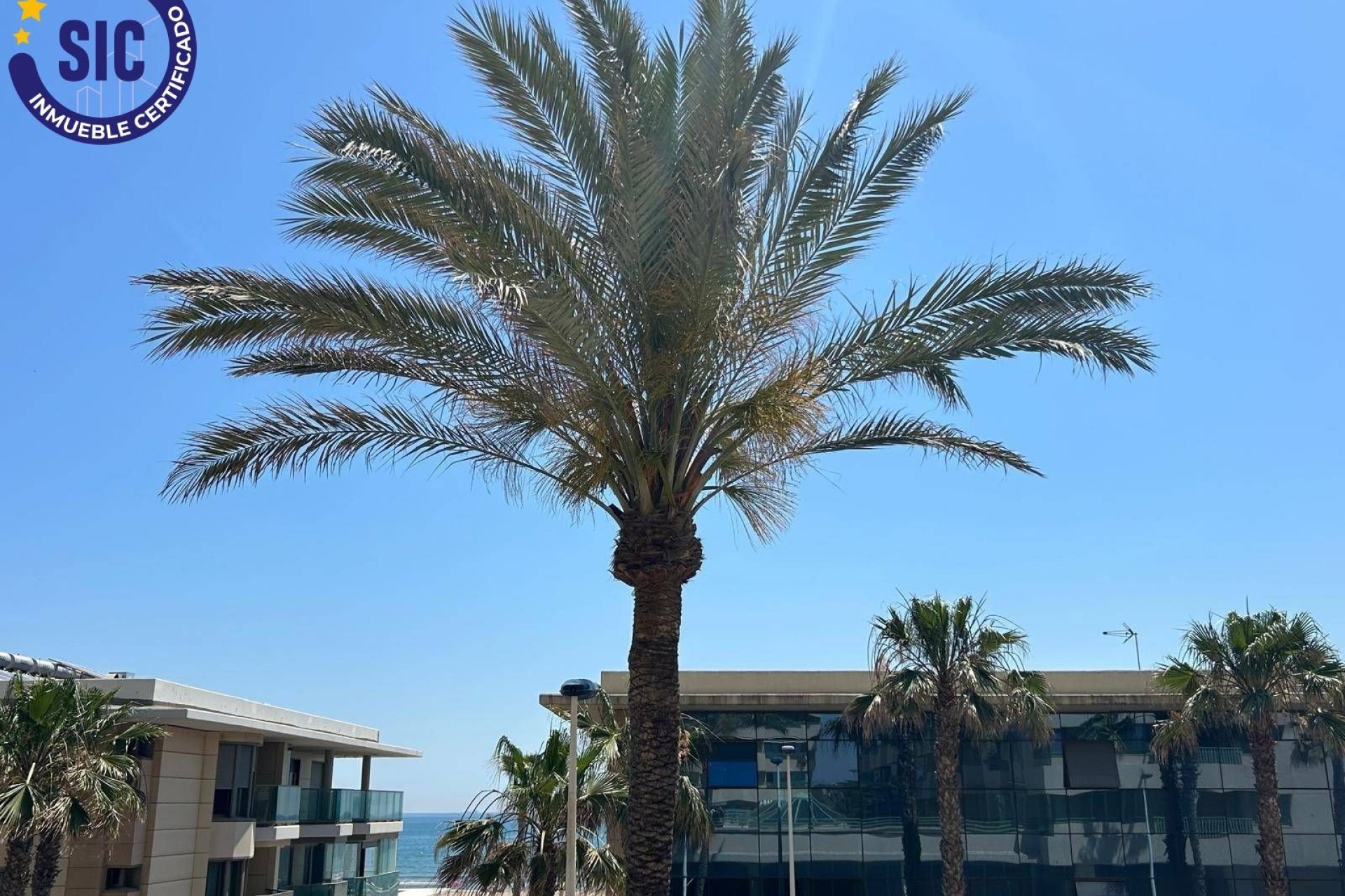 Перепродажа - Квартира - Valencia - Пляж Ла-Патакона