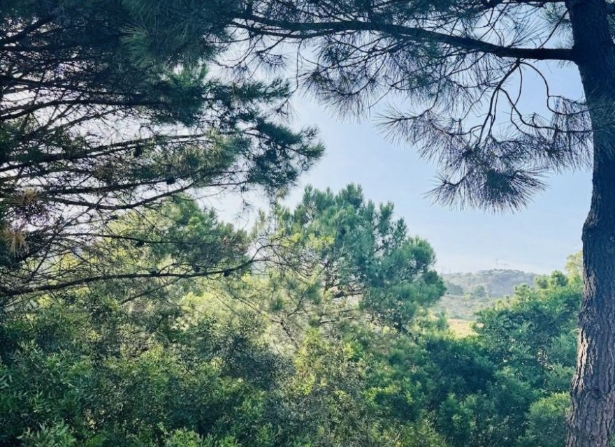 Перепродажа - Участок - Benahavís - Costa del Sol