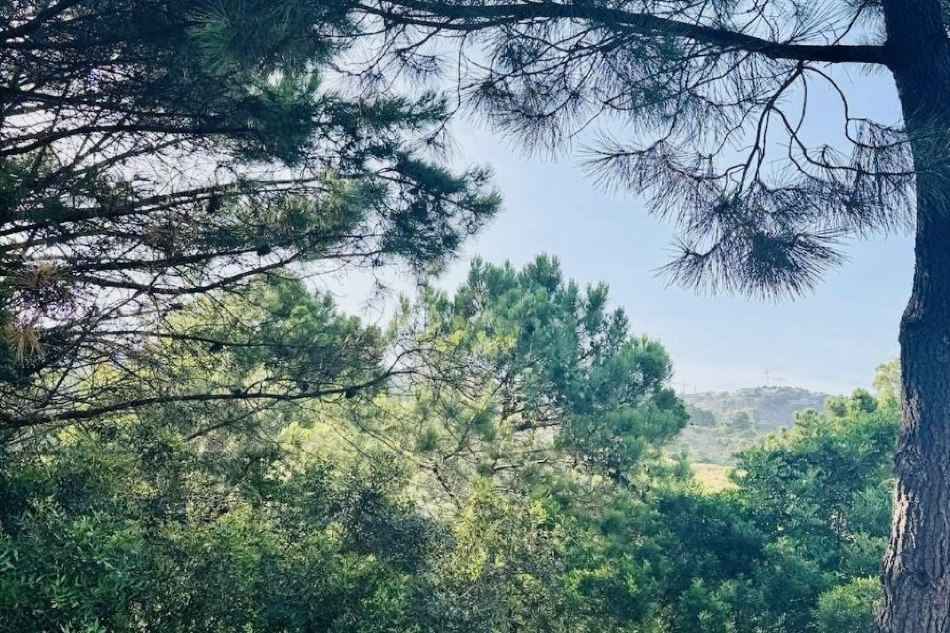 Перепродажа - Участок - Benahavís - Costa del Sol