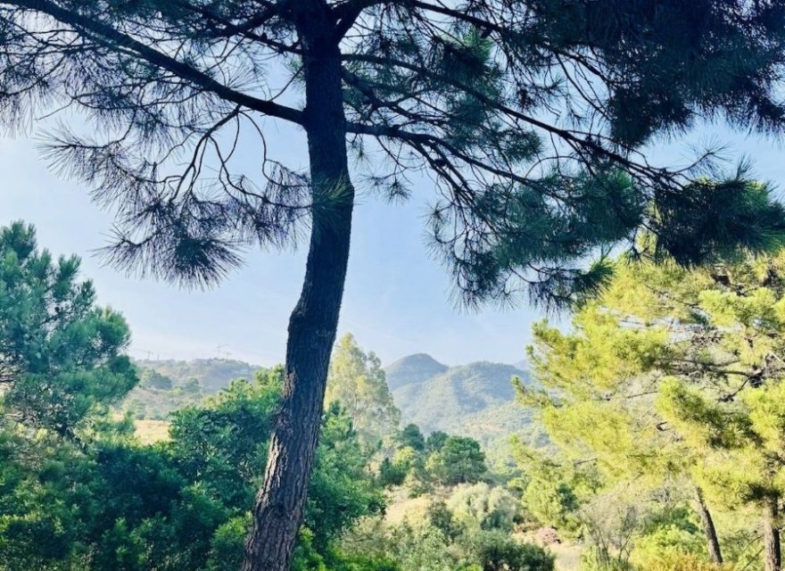 Перепродажа - Участок - Benahavís - Costa del Sol