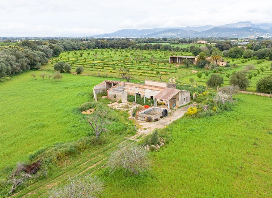 Перепродажа - Участок - Binissalem