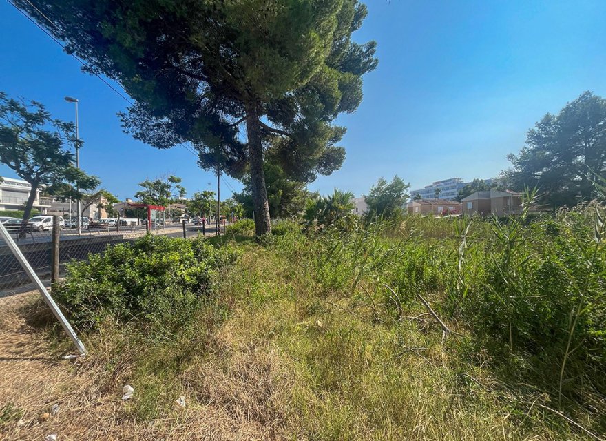 Перепродажа - Участок - Puerto de Alcúdia