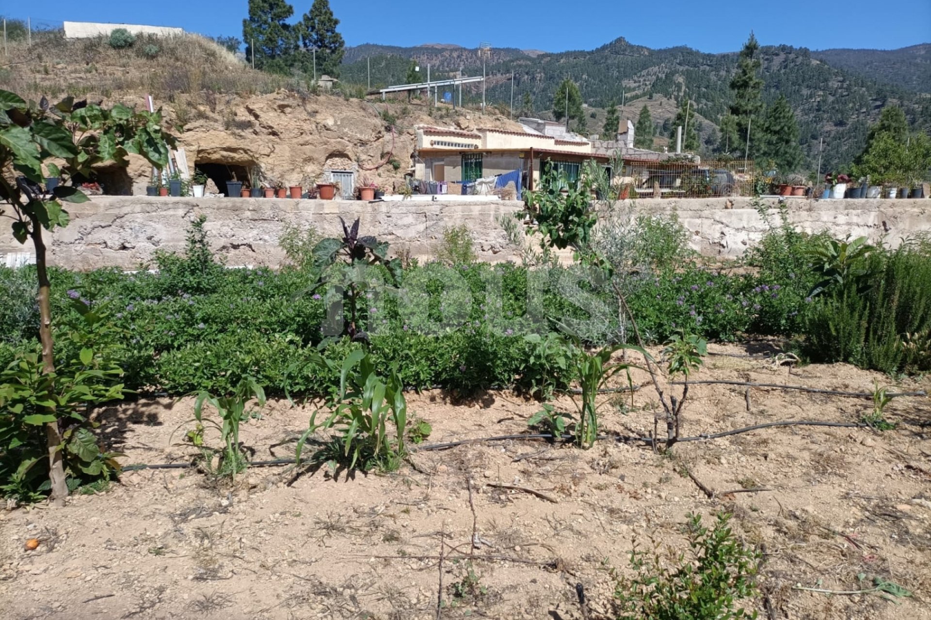 Перепродажа - Вилла - Arico