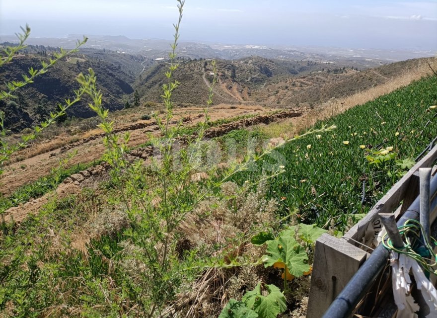 Перепродажа - Вилла - Arico