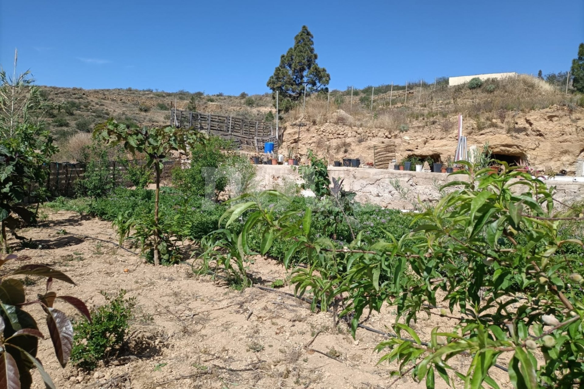 Перепродажа - Вилла - Arico