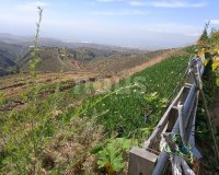 Перепродажа - Вилла - Arico