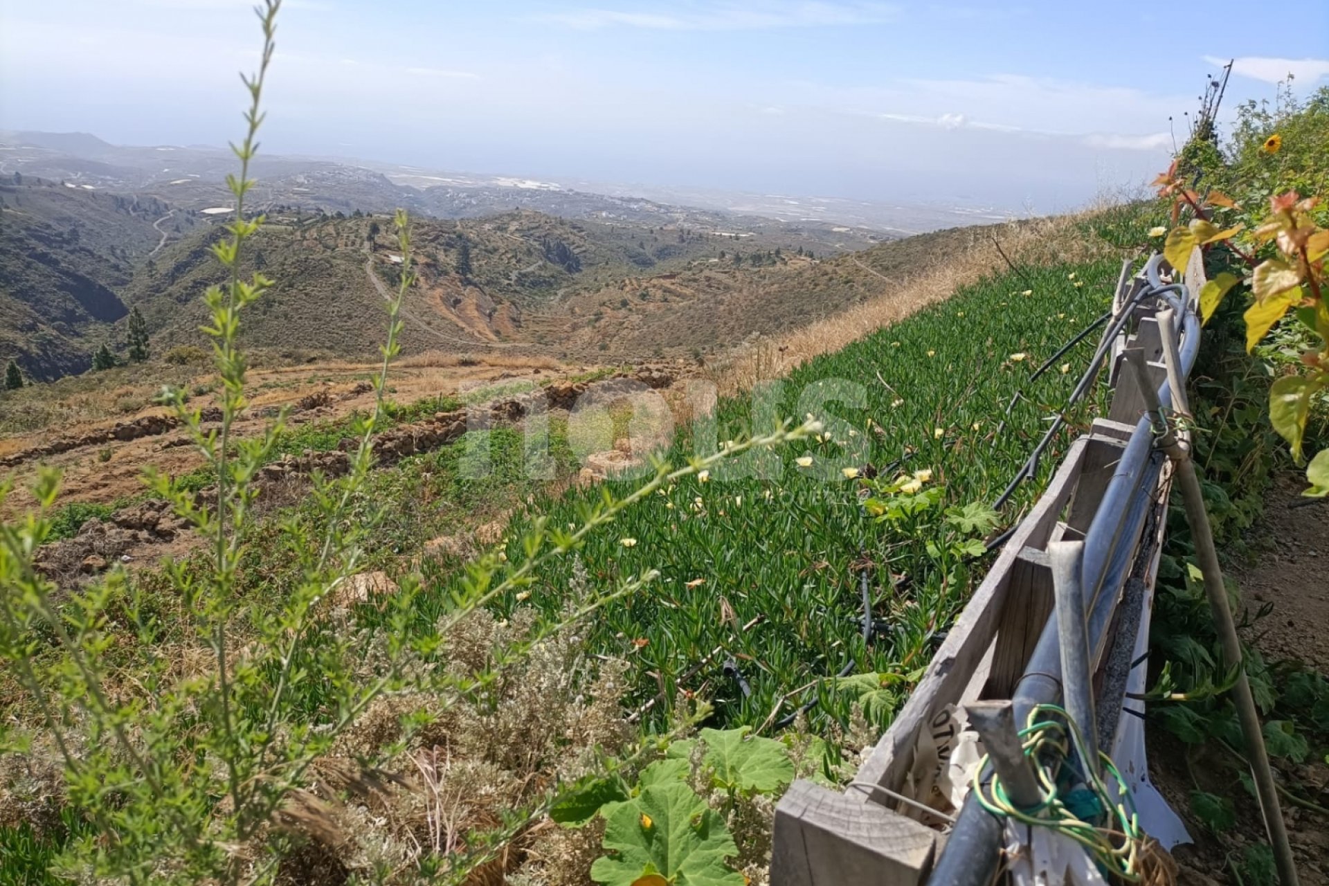 Перепродажа - Вилла - Arico