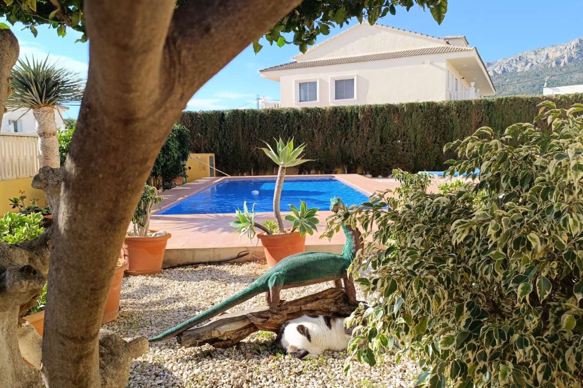 Перепродажа - Вилла - Calpe - Costa Blanca