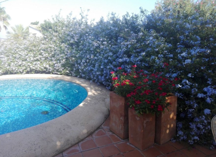 Перепродажа - Вилла - Denia