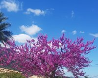 Перепродажа - Вилла - Denia
