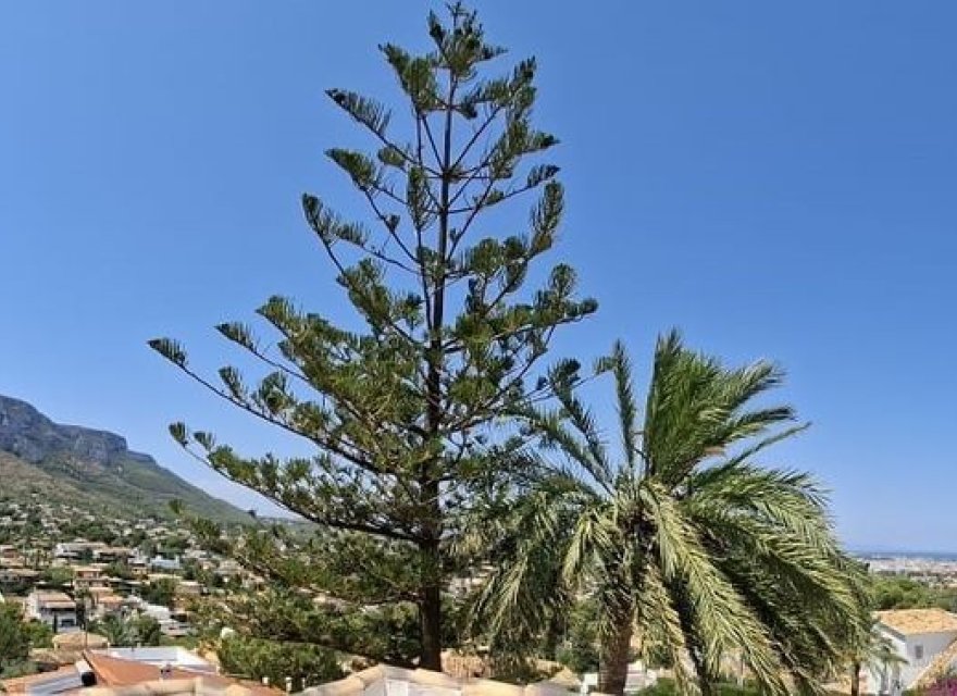 Перепродажа - Вилла - Denia