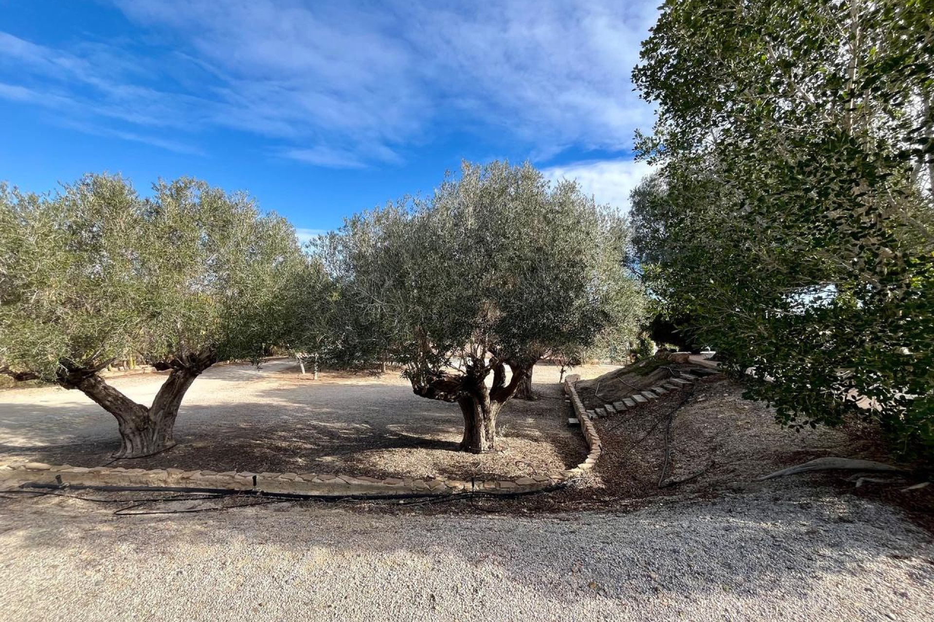 Перепродажа - Вилла - El Esparragal - Inland