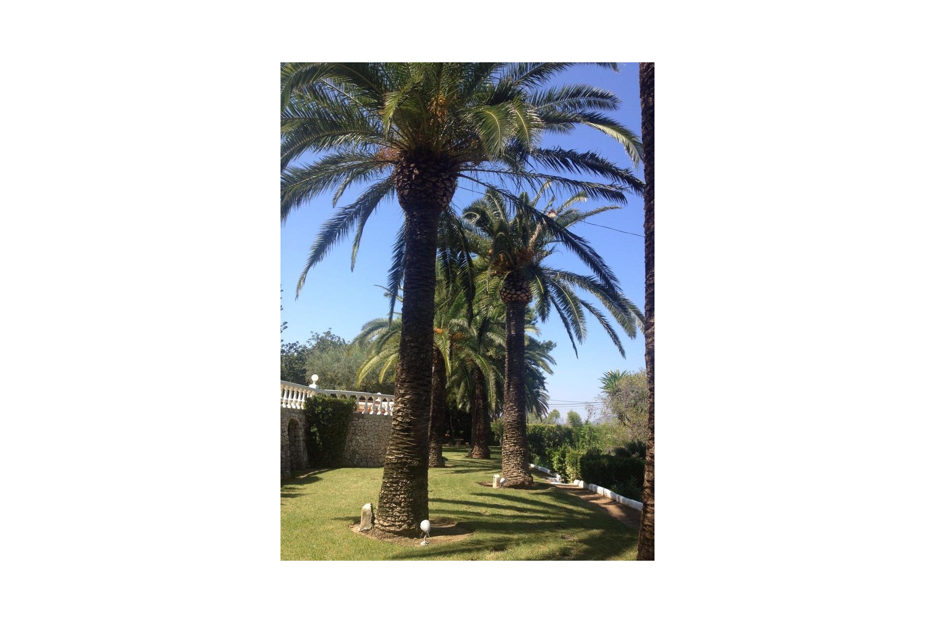 Перепродажа - Вилла - Jávea - Costa Blanca