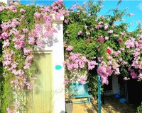 Перепродажа - Вилла - Jávea - Jávea/Xàbia