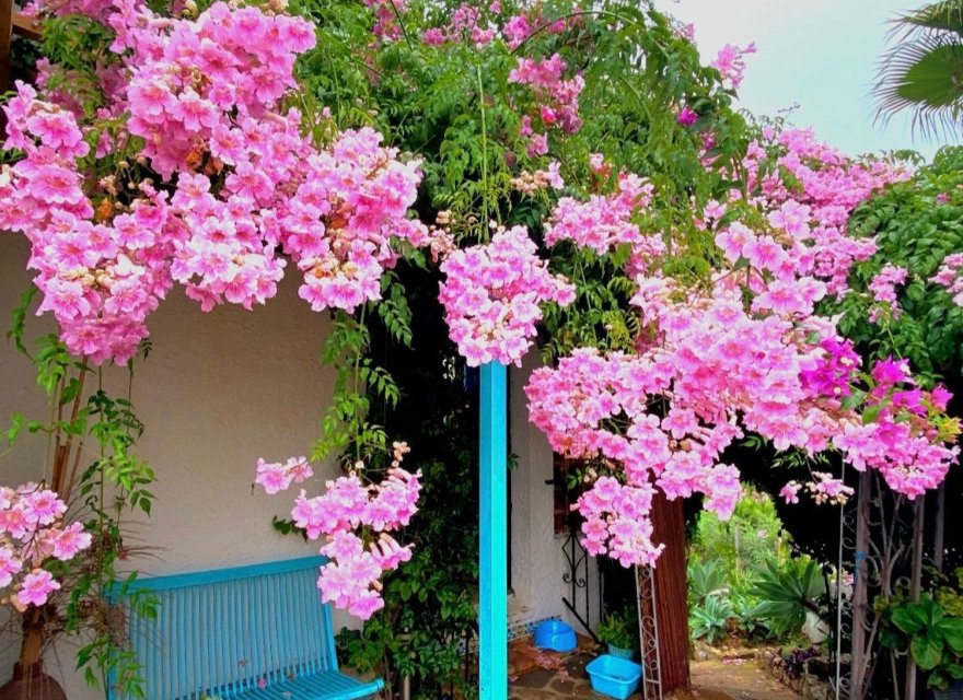 Перепродажа - Вилла - Jávea - Jávea/Xàbia