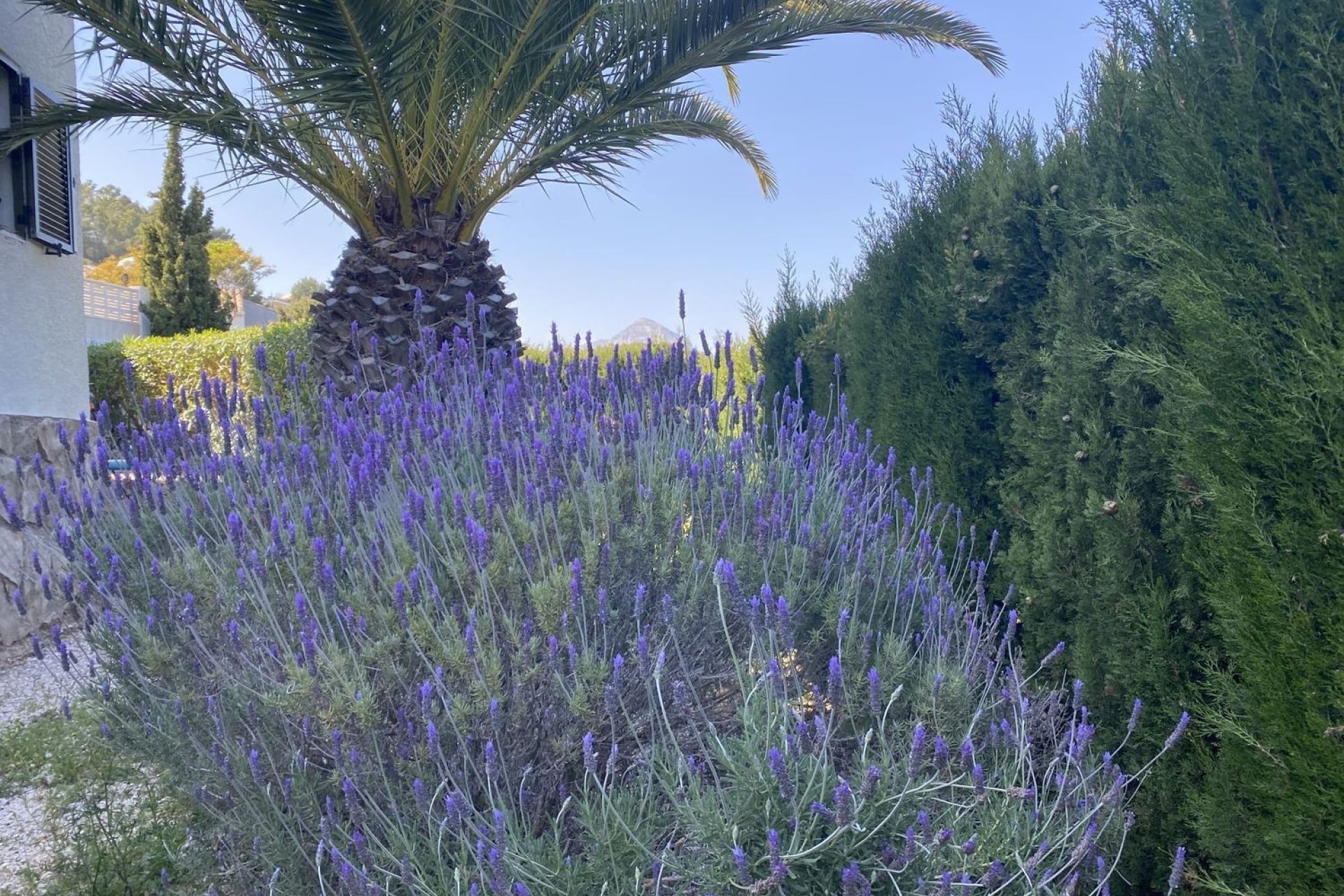 Перепродажа - Вилла - Jávea - Jávea/Xàbia