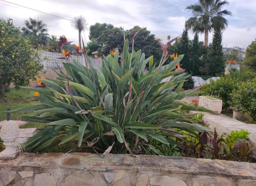 Перепродажа - Вилла - Jávea - Javea