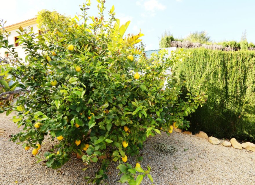 Перепродажа - Вилла - La Nucía - Costa Blanca