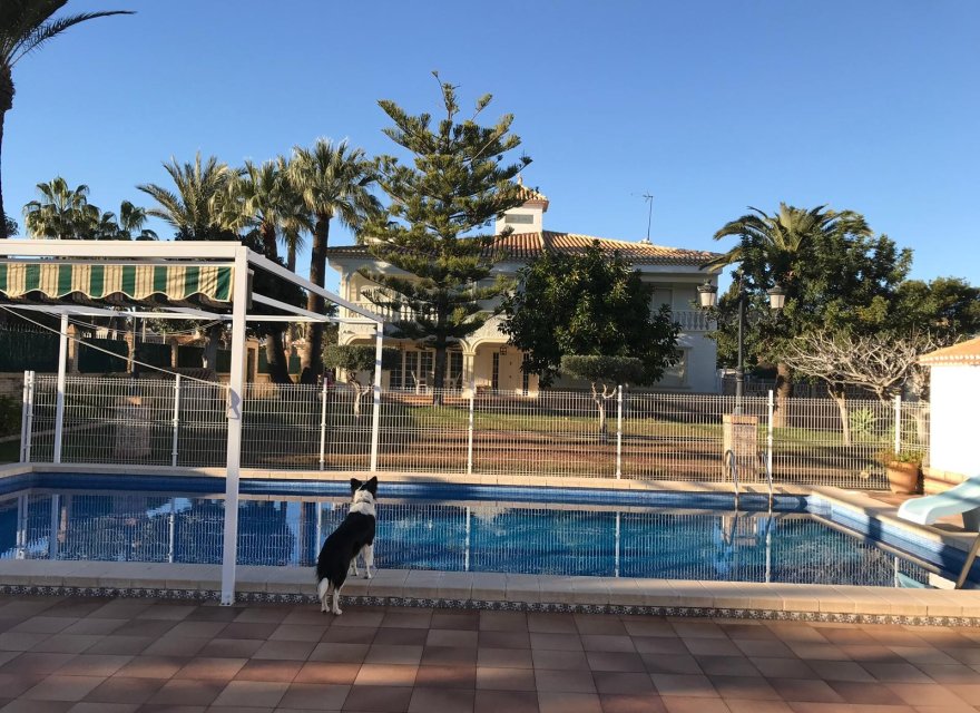 Перепродажа - Вилла - Orihuela Costa - Cabo Roig