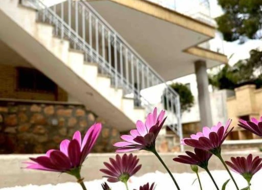 Перепродажа - Вилла - Ориуэла Коста - Campoamor