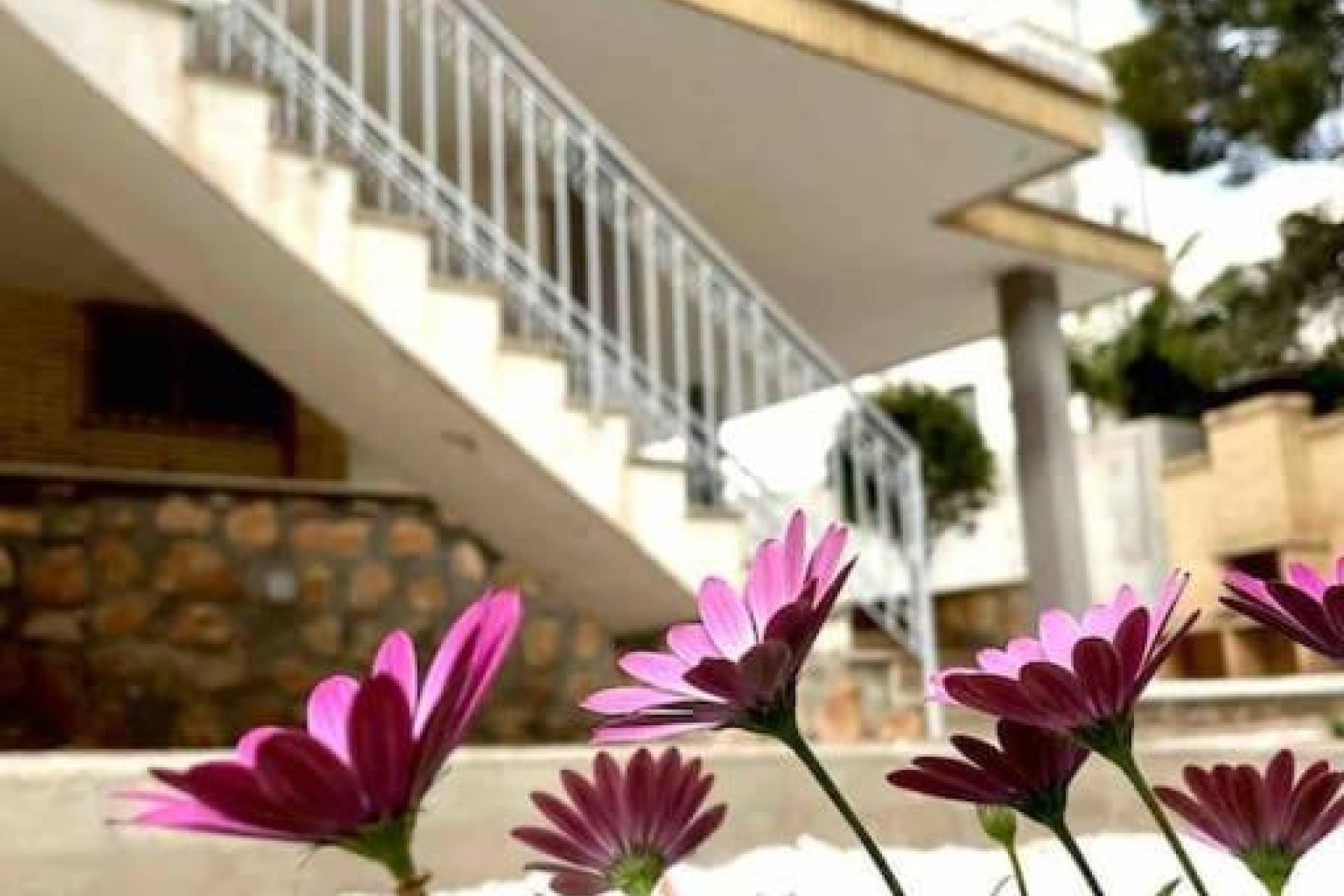 Перепродажа - Вилла - Ориуэла Коста - Campoamor