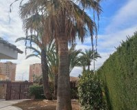 Перепродажа - Вилла - Ориуэла Коста - Orihuela Costa