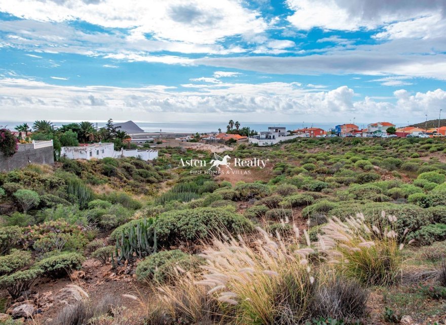 Перепродажа - Вилла - San Isidro de Abona - Los Cardones