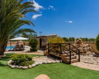 Перепродажа - Вилла - San Vicente del Raspeig