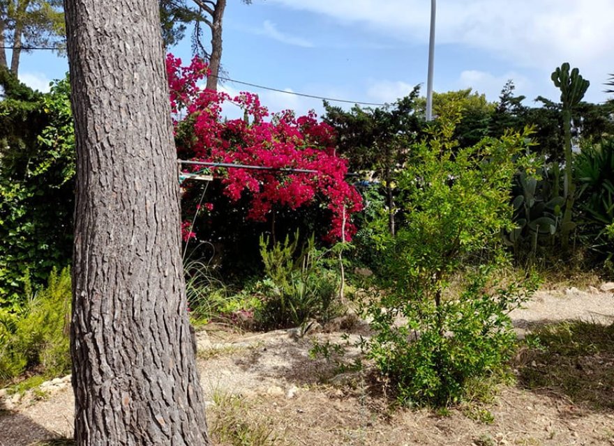 Перепродажа - Вилла - Santa Ponsa