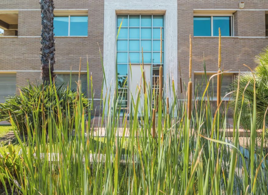 Перепродажа - Вилла - Zona Alta