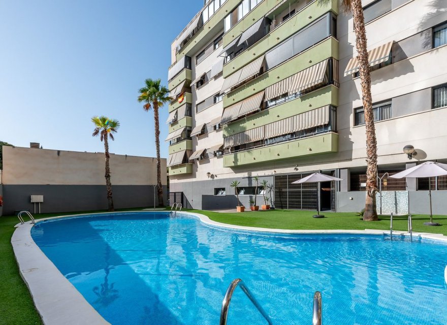 Resale - Apartment - Alicante - Alicante / Alacant