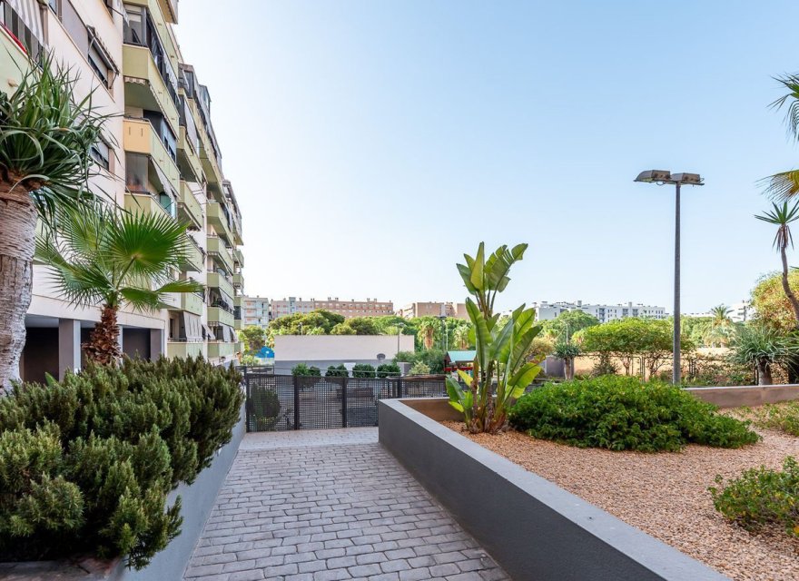 Resale - Apartment - Alicante - Alicante / Alacant