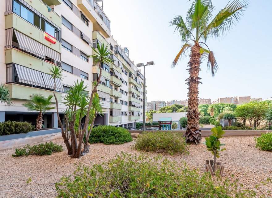 Resale - Apartment - Alicante - Alicante / Alacant