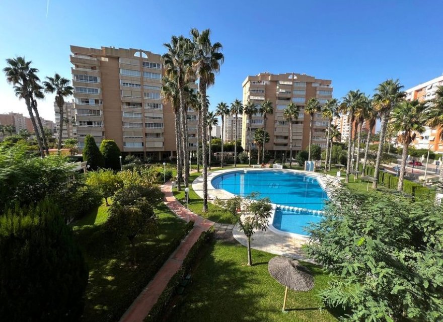 Resale - Apartment - Alicante - Alicante (San Juan)