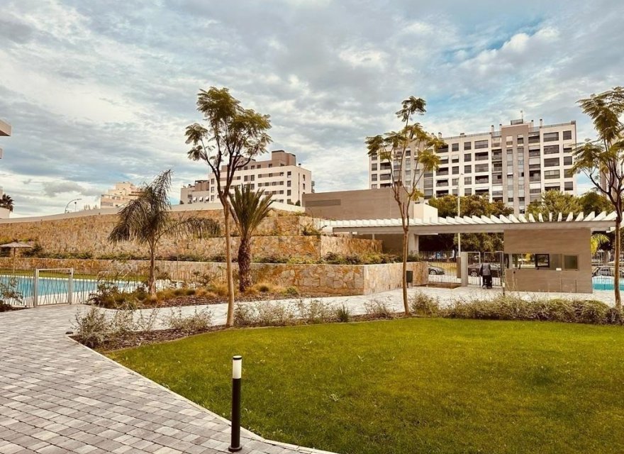 Resale - Apartment - Alicante - Alicante (San Juan)