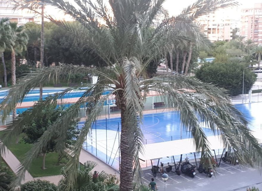 Resale - Apartment - Alicante - Alicante (San Juan)