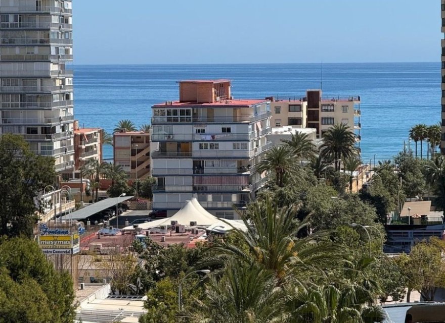 Resale - Apartment - Alicante - Alicante (San Juan)