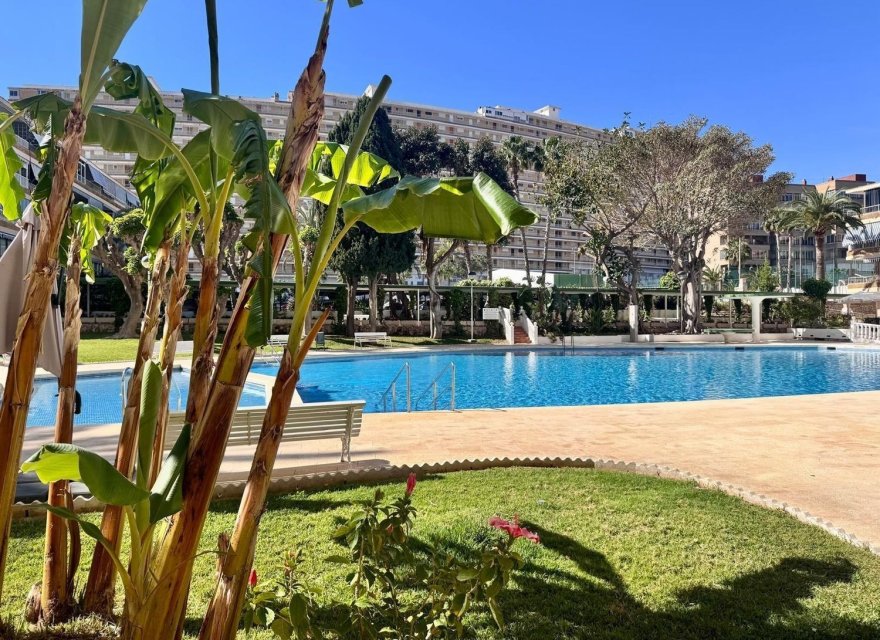 Resale - Apartment - Alicante - Alicante (San Juan)